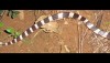 Malayan Krait, or Blue Krait found in Thailand - a very deadly snake