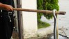 Big Rat Snake in Nonthaburi - 2nd specimen