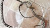 Brown Whip Snake - Keel-bellied Whip Snake - Dryophiops rubescens caught in Thailand