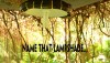 Thailand snake lampshade.