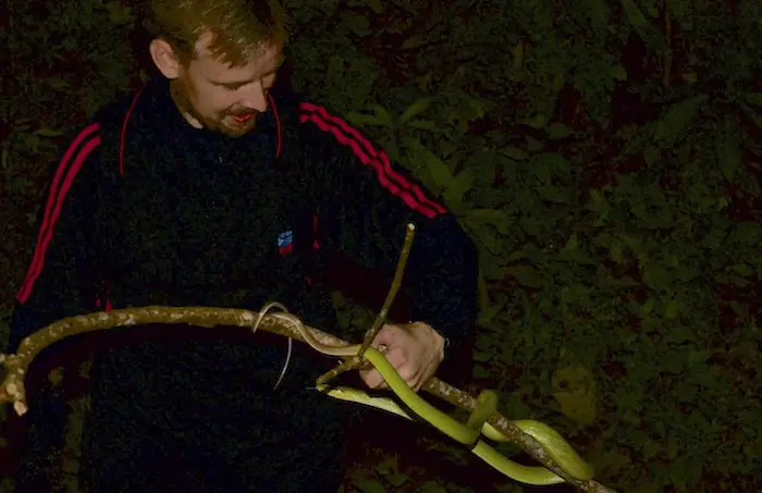 Marc with Gonyosoma oxycephalum.