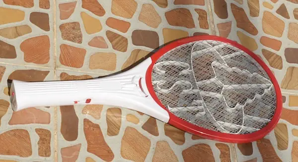 racquet